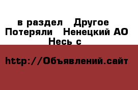  в раздел : Другое » Потеряли . Ненецкий АО,Несь с.